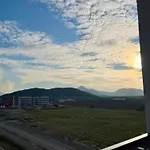 Avenija